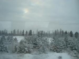 <img300*0:stuff/z/1/journey%2520to%2520Ljusdal/DSC07939.JPG>