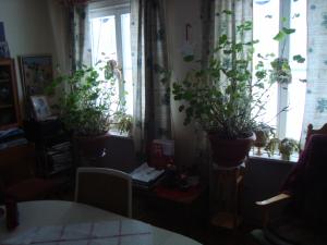 <img300*0:stuff/z/1/journey%2520to%2520Ljusdal/DSC07970.JPG>