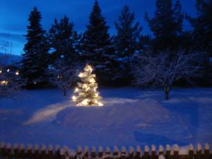 <img300*0:stuff/z/1/journey%2520to%2520Ljusdal/DSC07977.JPG>