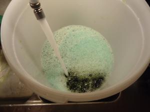 <img300*0:stuff/z/1/kiwiwine/dsc01979.jpg>