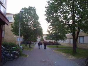 <img300*0:stuff/z/1/sa2009-05.30/DSC03979.JPG>