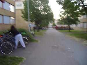 <img300*0:stuff/z/1/sa2009-05.30/DSC03982.JPG>