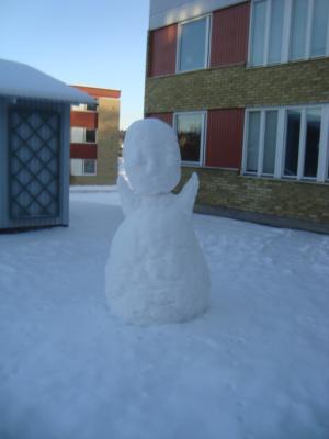 <img300*0:stuff/z/1/scavenging%2520nationskallaren/DSC08144.JPG>