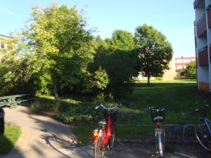 <img300*0:stuff/z/1/upcw/DSC01354.JPG>