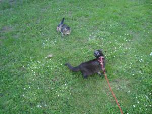 <img300*0:stuff/z/1/upcw/DSC01356.JPG>