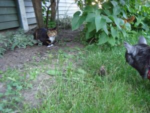 <img300*0:stuff/z/1/upcw/DSC01357.JPG>