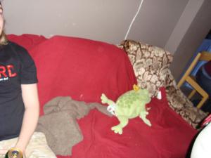 <img300*0:stuff/z/1/vg50/dsc00522.jpg>