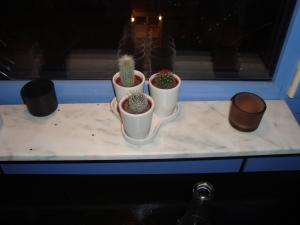 <img300*0:stuff/z/1/vg56/DSC00875.JPG>