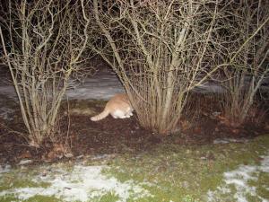 <img300*0:stuff/z/1/vg56/DSC00876.JPG>