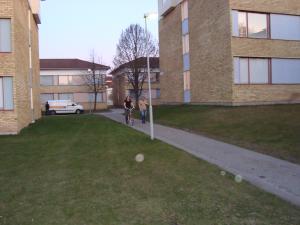 <img300*0:stuff/z/1/vg62/DSC02106.JPG>
