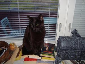 <img300*0:stuff/z/1/vg63/DSC02684.JPG>