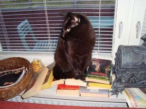<img300*0:stuff/z/1/vg63/DSC02685.JPG>