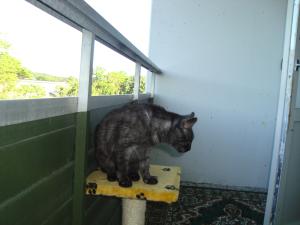 <img300*0:stuff/z/1/vg70/DSC04551.JPG>