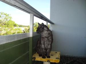 <img300*0:stuff/z/1/vg70/DSC04552.JPG>