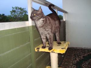 <img300*0:stuff/z/1/vg70/DSC04553.JPG>
