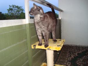 <img300*0:stuff/z/1/vg70/DSC04554.JPG>