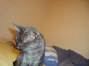 <img300*0:stuff/z/1/vg75/DSC04953.JPG>