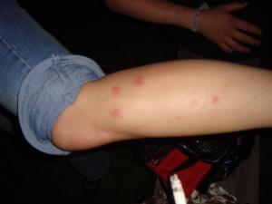 <img300*0:stuff/z/1/vg79/DSC05445.JPG>