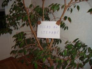 <img300*0:stuff/z/1/vg86/DSC07294.JPG>