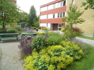 <img300*0:stuff/z/1/week2012-07-15/DSC06833.JPG>