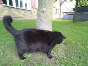 <img300*0:stuff/z/1/week2012-07-15/DSC06834.JPG>
