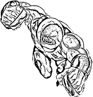 <img300*0:stuff/z/101743/APfaff.2/Juggernaut%20inked.JPG>