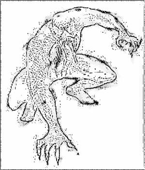 <img300*0:stuff/z/101743/apfaff.1/Venom%20ink.JPG>