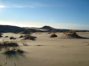 <img300*0:stuff/z/102892/North%2520Bend%2520Oregon%2520Sand%2520Dunes/i1234244860_2.jpg>