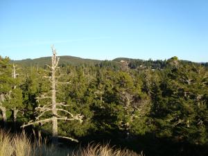 <img300*0:stuff/z/102892/North%2520Bend%2520Oregon%2520Sand%2520Dunes/i1234244860_3.jpg>