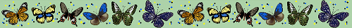 <img:http://elftown.heddate.com/stuff/z/10550/Butterfly%2520Graphics/butterflydiv.jpg>