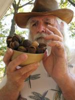 <img0*200:stuff/z/10620/10-22-08%2520Portraits%2520with%2520Hickory%2520Nuts/10-22-08%20007.jpg>