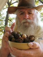 <img0*200:stuff/z/10620/10-22-08%2520Portraits%2520with%2520Hickory%2520Nuts/10-22-08%20010.jpg>