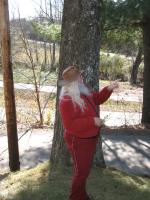 <img0*200:stuff/z/10620/11-26-09%2520Kris%2520Kringle%2520set/11-26-08%20125.jpg>