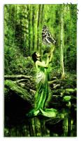<img0*200:stuff/z/10620/Art%2520from%2520Stock/Greener_than_gods_dream_by_Clepsidras.jpg>