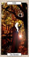<img0*200:stuff/z/10620/Art%2520from%2520Stock/The_Hermit_by_Twilights_Maiden.jpg>