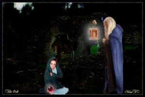 <img0*200:stuff/z/10620/Art%2520from%2520Stock/The_Orb_by_Cheyanne88.jpg>