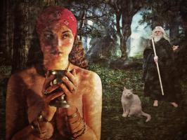 <img0*200:stuff/z/10620/Art%2520from%2520Stock/The_Spell_is_Cast_by_spicorder.jpg>