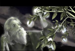 <img0*200:stuff/z/10620/Art%2520from%2520Stock/Tree_of_Life_by_auhyzal.jpg>