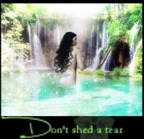 <img0*200:stuff/z/10620/Art%2520from%2520Stock/no_tears_by_leaveseyes.jpg>