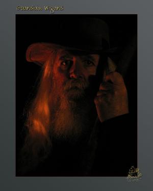 <img300*0:stuff/z/10620/Mass%2520Uploads/Guardian-Wizard.jpg>