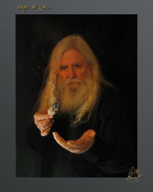<img300*0:stuff/z/10620/Mass%2520Uploads/Sage-Wizard.jpg>