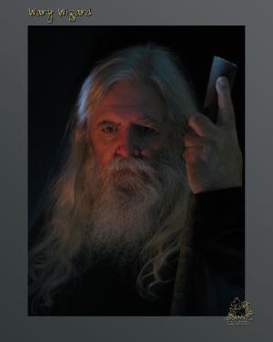 <img300*0:stuff/z/10620/Mass%2520Uploads/Wary-Wizard.jpg>