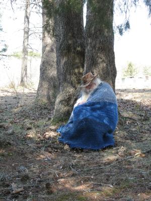 <img300*0:stuff/z/10620/Napping%2520%2526%2520Resting%2520Wizard%25203-05-09/3-5-09%20035.jpg>
