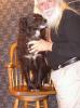 <img0*100:stuff/z/10620/Sky%2527s%2520Dog%2520Reference%25201/Skydancer-Stock%200949.jpg>