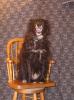 <img0*100:stuff/z/10620/Sky%2527s%2520Dog%2520Reference%25201/Skydancer-Stock%200955.jpg>