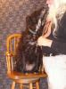 <img0*100:stuff/z/10620/Sky%2527s%2520Dog%2520Reference%25201/Skydancer-Stock%200958.jpg>