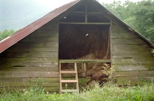 <img300*0:stuff/z/10620/Sky%2527s%2520Stock%2520for%2520Chimes%25202/Sky%20Stock%20for%20Chime0512.jpg>
