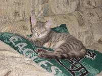 <img0*150:stuff/z/117232/extremelover!%3C3/i1166231860_14.jpg>