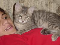 <img0*150:stuff/z/117232/extremelover!%3C3/i1166231860_21.jpg>