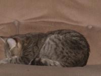 <img0*150:stuff/z/117232/extremelover!%3C3/i1166231860_25.jpg>